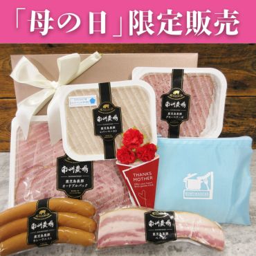 国産豚肉バラエティ5品詰合せ AF-44